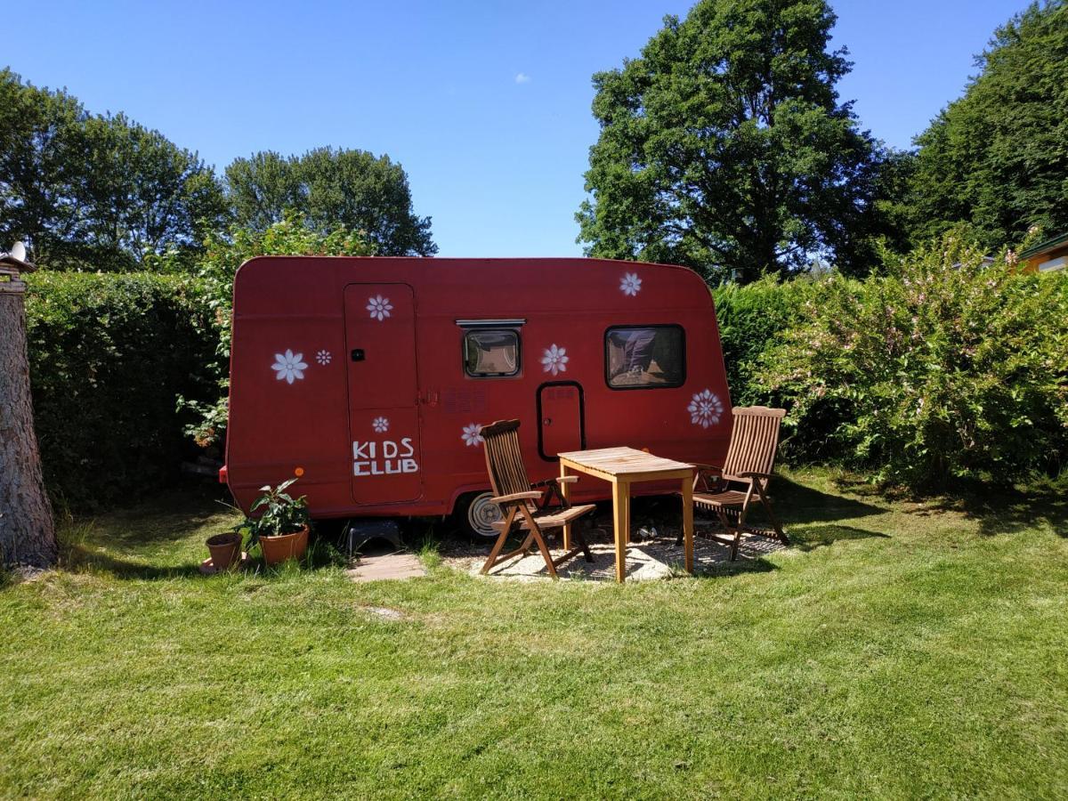 Projekt Ferienhaus Am See Inkl. W-Lan, Betwaesche Und Netflix Jurgenshagen Dış mekan fotoğraf